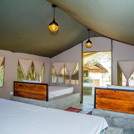 Hotel Yala Wild Hut - Yala Tissamaharama Zewnętrze zdjęcie