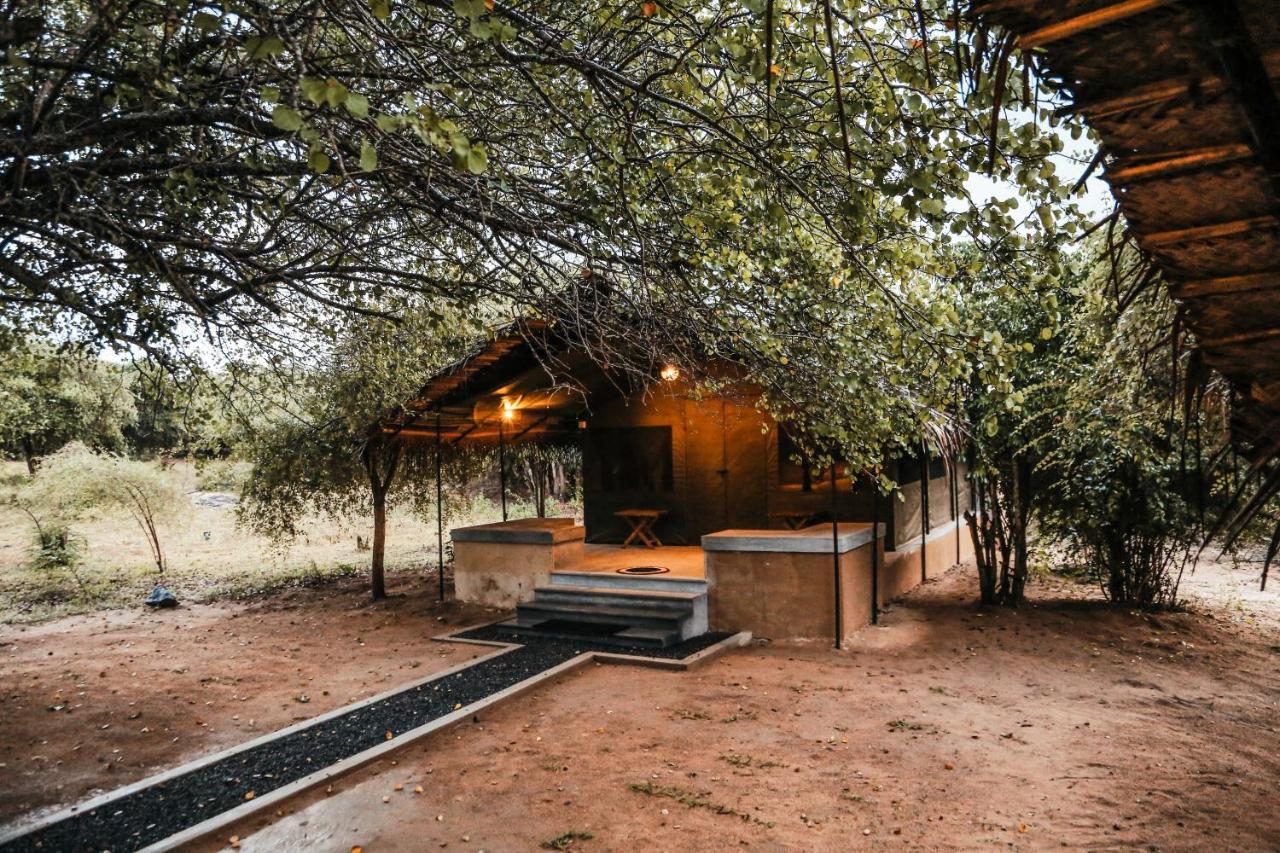 Hotel Yala Wild Hut - Yala Tissamaharama Zewnętrze zdjęcie