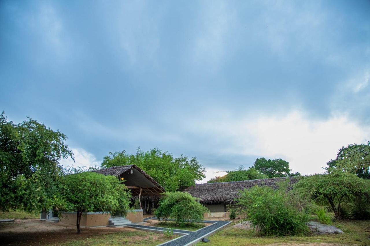 Hotel Yala Wild Hut - Yala Tissamaharama Zewnętrze zdjęcie