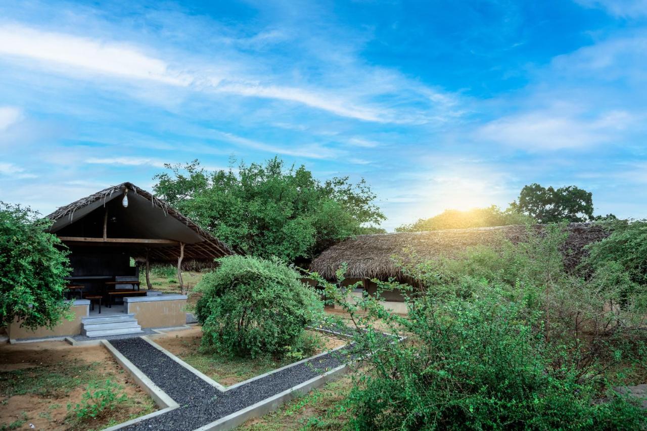Hotel Yala Wild Hut - Yala Tissamaharama Zewnętrze zdjęcie