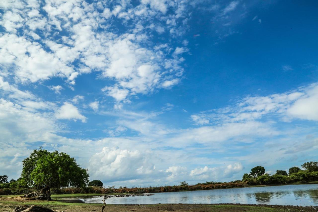 Hotel Yala Wild Hut - Yala Tissamaharama Zewnętrze zdjęcie