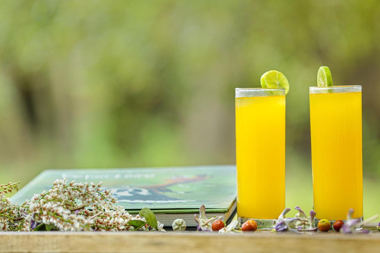 Hotel Yala Wild Hut - Yala Tissamaharama Zewnętrze zdjęcie