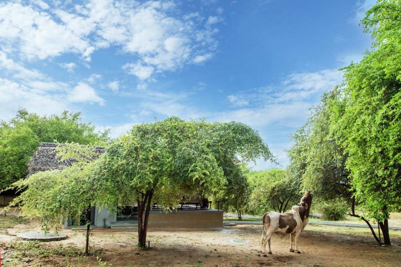 Hotel Yala Wild Hut - Yala Tissamaharama Zewnętrze zdjęcie