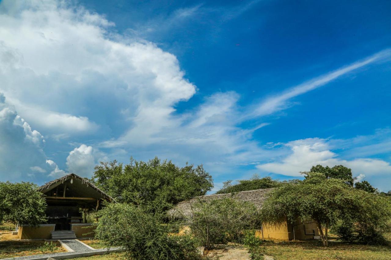 Hotel Yala Wild Hut - Yala Tissamaharama Zewnętrze zdjęcie