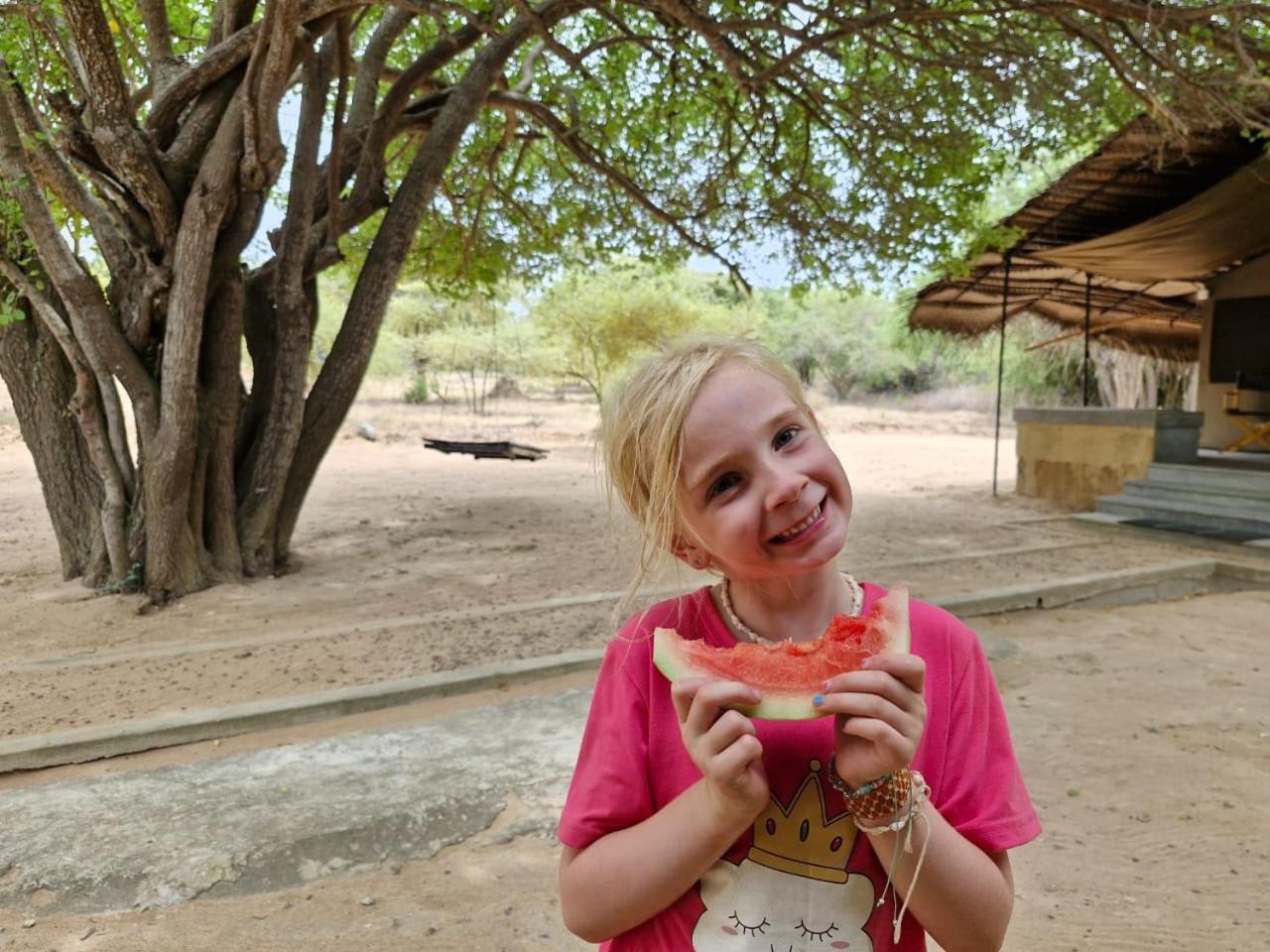 Hotel Yala Wild Hut - Yala Tissamaharama Zewnętrze zdjęcie