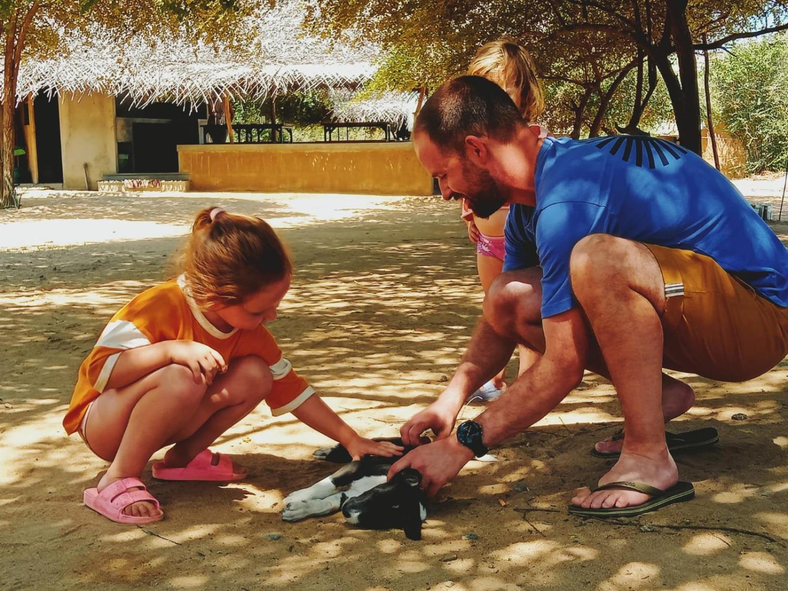Hotel Yala Wild Hut - Yala Tissamaharama Zewnętrze zdjęcie